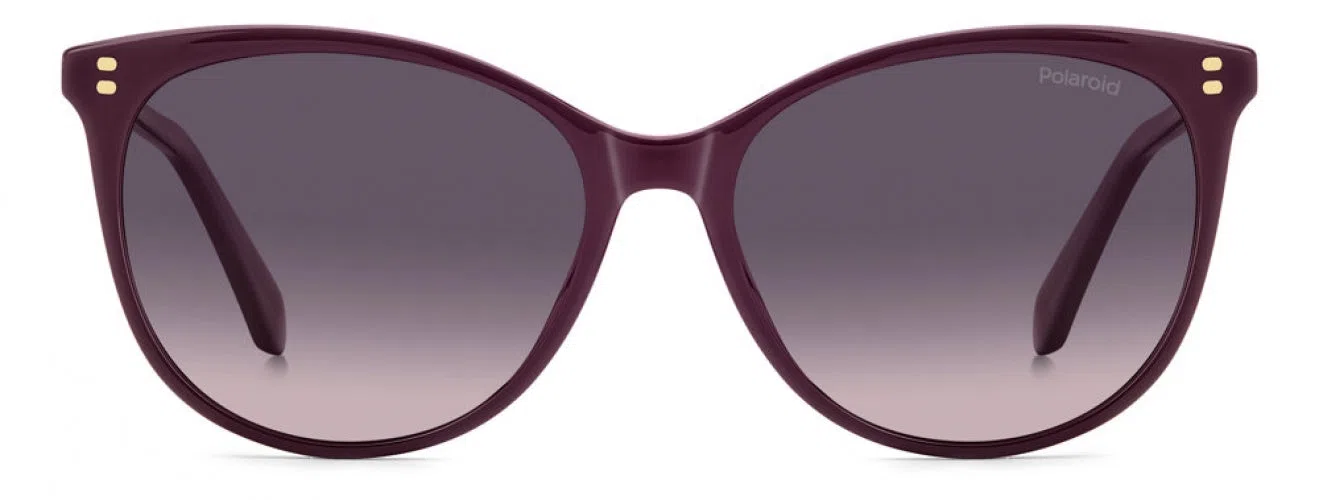 Polaroid Core PLD4200 Sunglasses - view 4